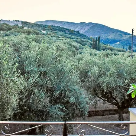 ヴィラ Olive Grove Private *