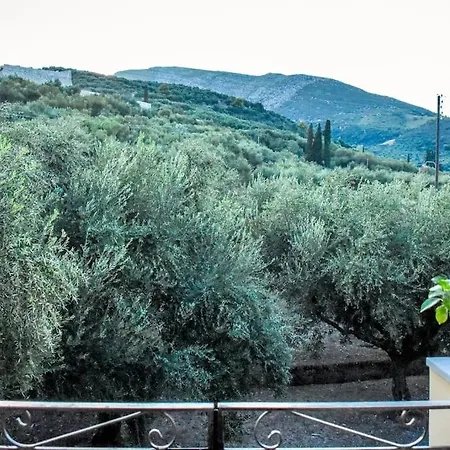 Olive Grove Private * Lithakia (Zakynthos)