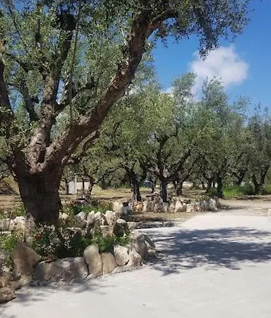 Olive Grove Private Lithakia (Zakynthos)